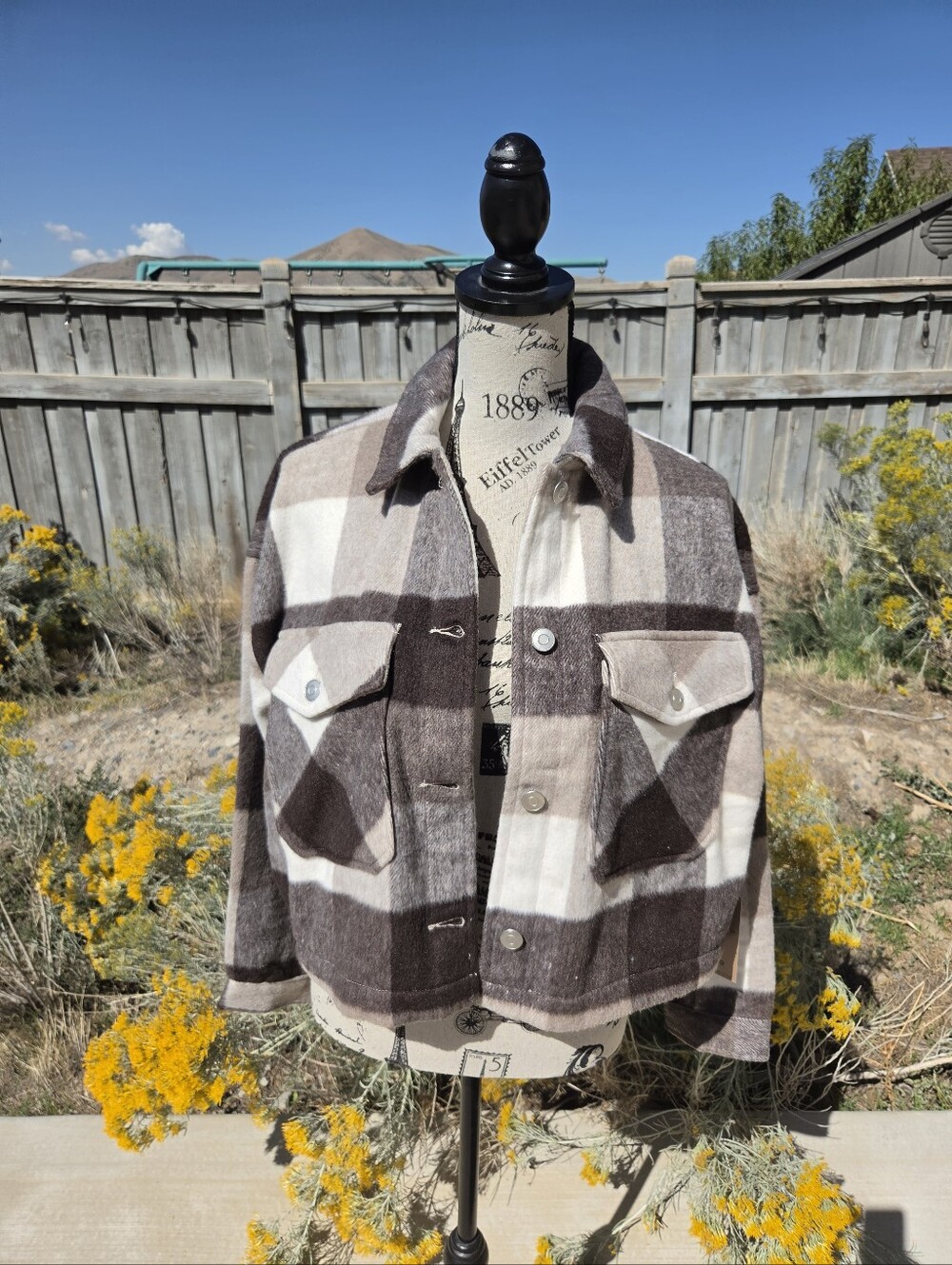 Women's Ci Sono Brown Plaid Chinos
